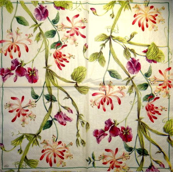 031 Orchids - 3-ply - (cream pearl) - Ihr
